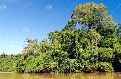 《斗仙界》0.1折手游新體驗 爽快世界，代理開發(fā)新機遇